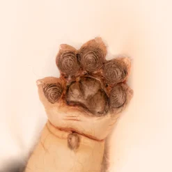Trick Or Treat Studios Last Chance Items|Collectibles-WerePups - Toby